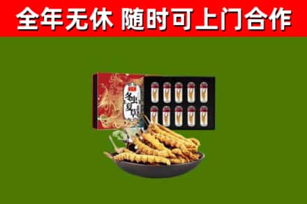 丹江口市回收冬虫夏草价格